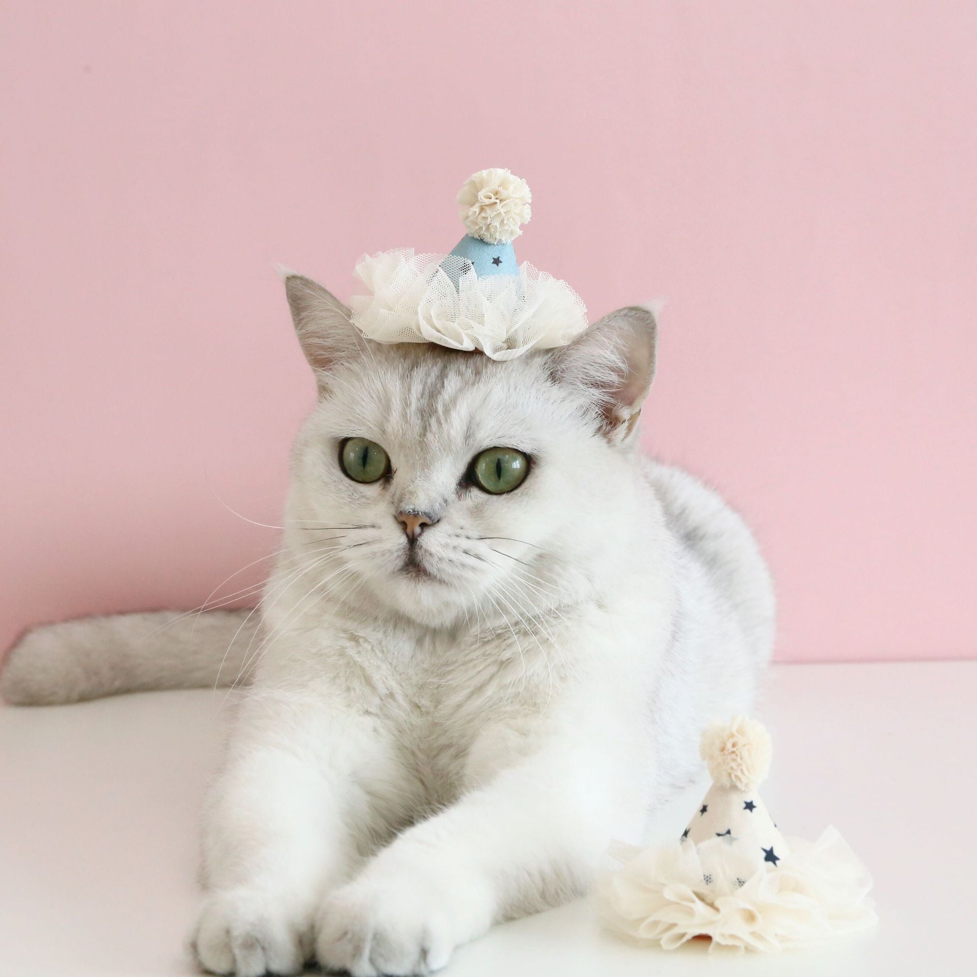 Wholesale 5pcs Fairy Lace Sequins Stereo Birthday Hat Five-pointed Star Headdress Bow Wedding Princess
